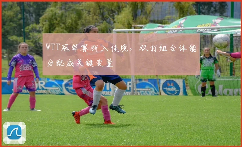 WTT冠军赛渐入佳境，双打组合体能分配成关键变量