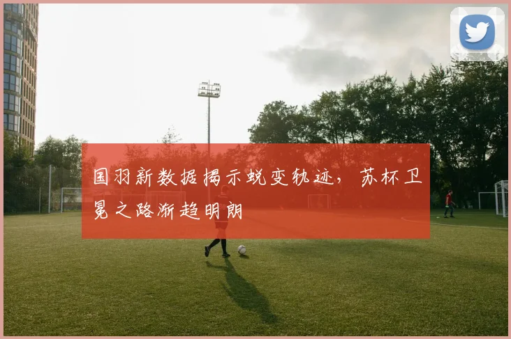 国羽新数据揭示蜕变轨迹，苏杯卫冕之路渐趋明朗