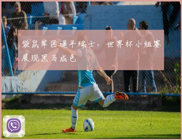 袋鼠军团逼平瑞士，世界杯小组赛展现黑马成色