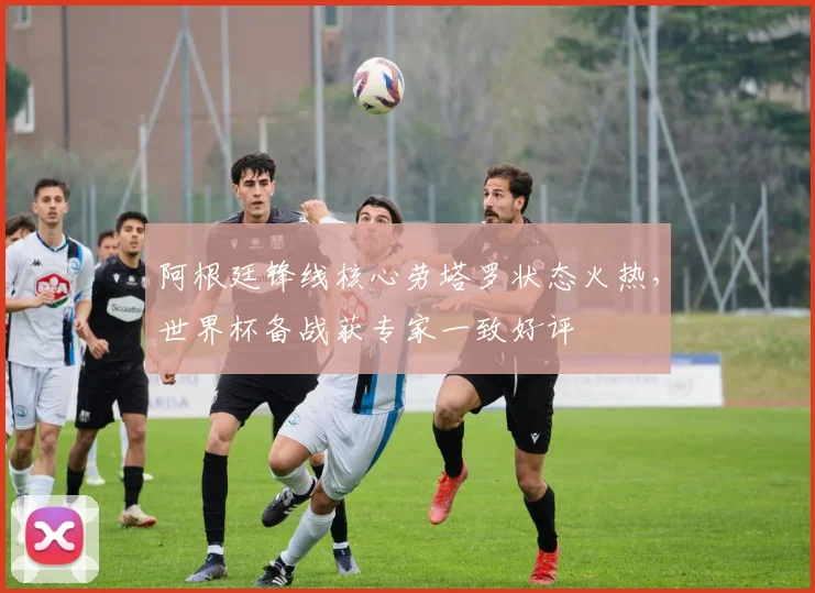 阿根廷锋线核心劳塔罗状态火热，世界杯备战获专家一致好评